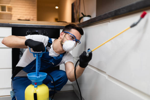 Best Mosquito Control Services  in Detroit Beach, MI