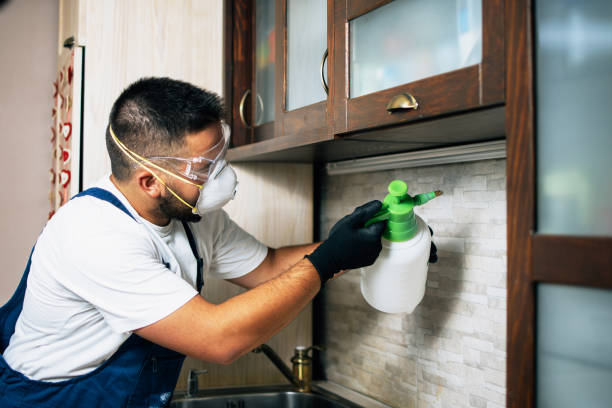 Best Wildlife Control Services  in Detroit Beach, MI