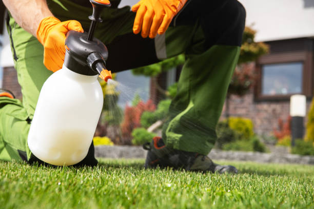 Best Commercial Pest Control Services  in Detroit Beach, MI