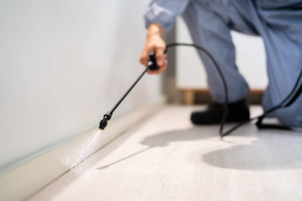 Best Pest Control Treatment  in Detroit Beach, MI