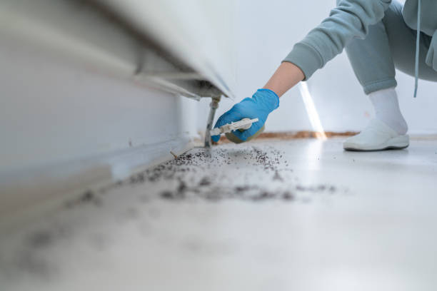 Best Best Pest Control Companies  in Detroit Beach, MI